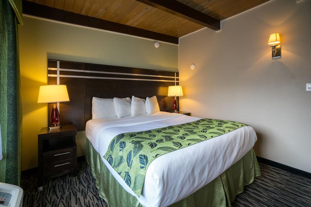Motel Capri San Francisco Zewnętrze zdjęcie